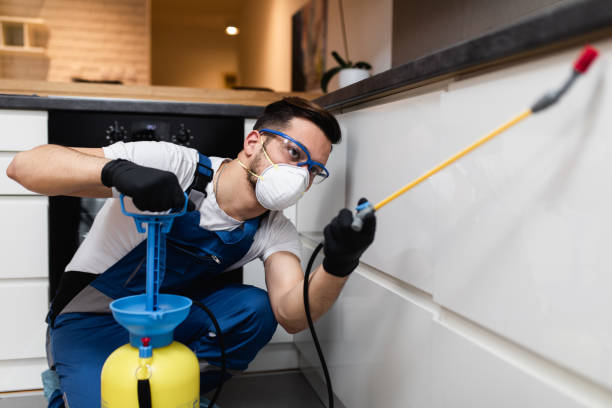 Best Commercial Pest Control Services  in Kaneohe, HI