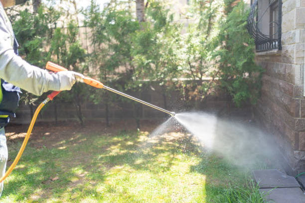 Best Flea Control Services  in Kaneohe, HI