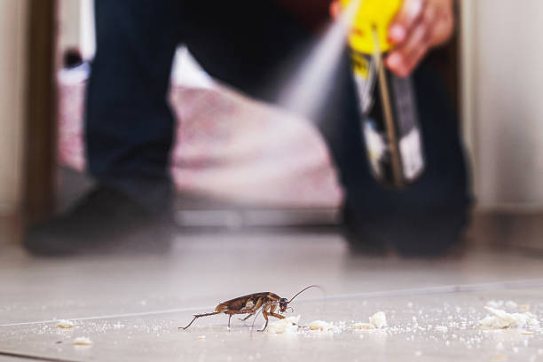 Best Best Pest Control Companies  in Kaneohe, HI
